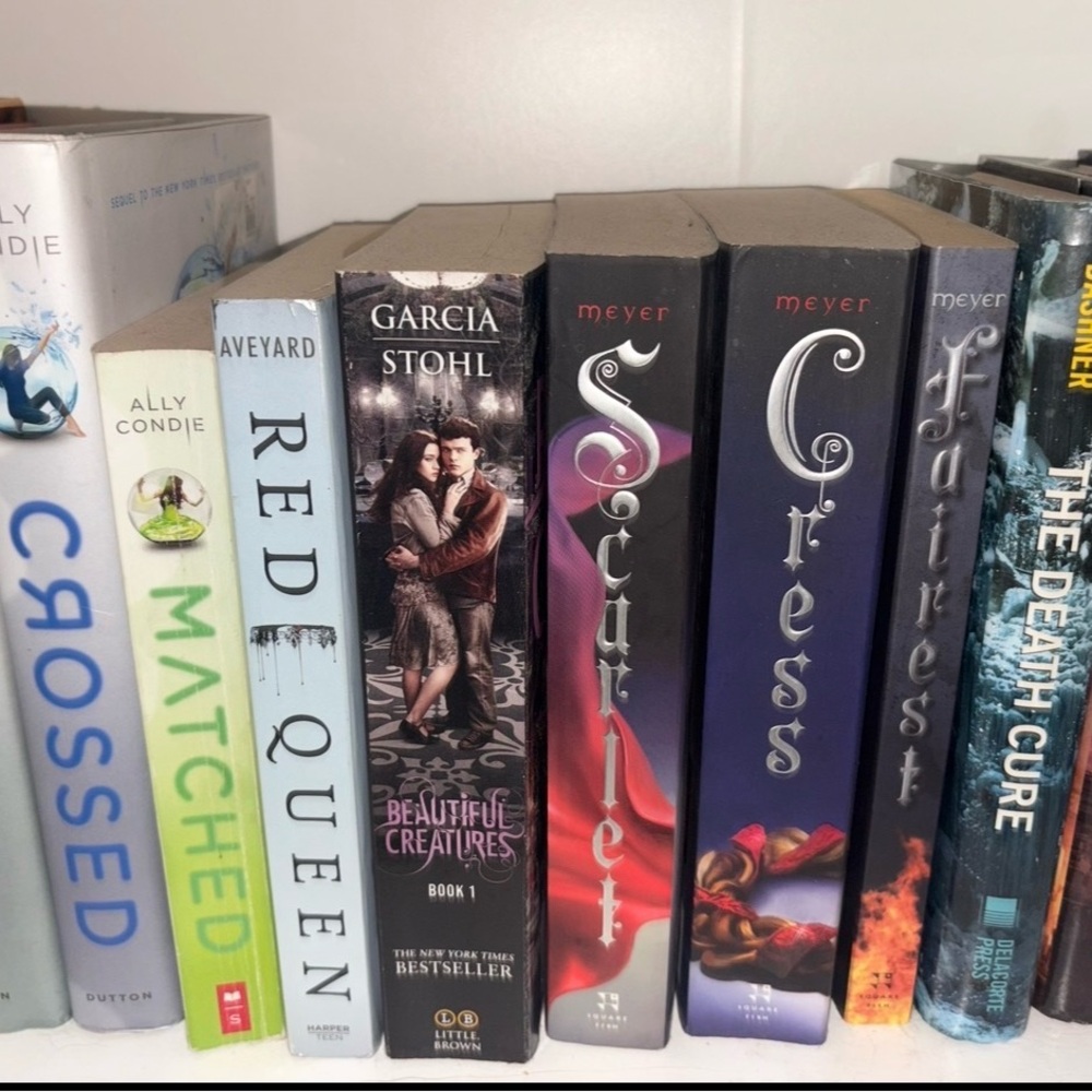 Young Adult Fantasy Book Collection